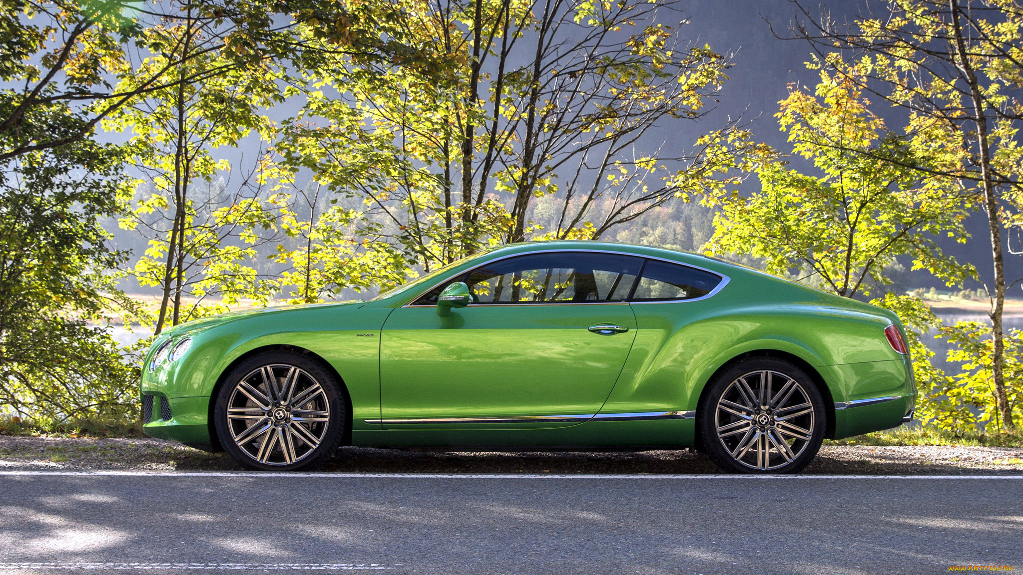 bentley, continental, , , , , , 